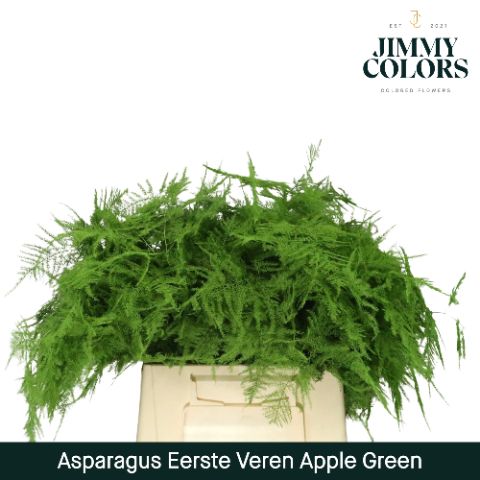 Aspa 1ste Veren Apple Green
