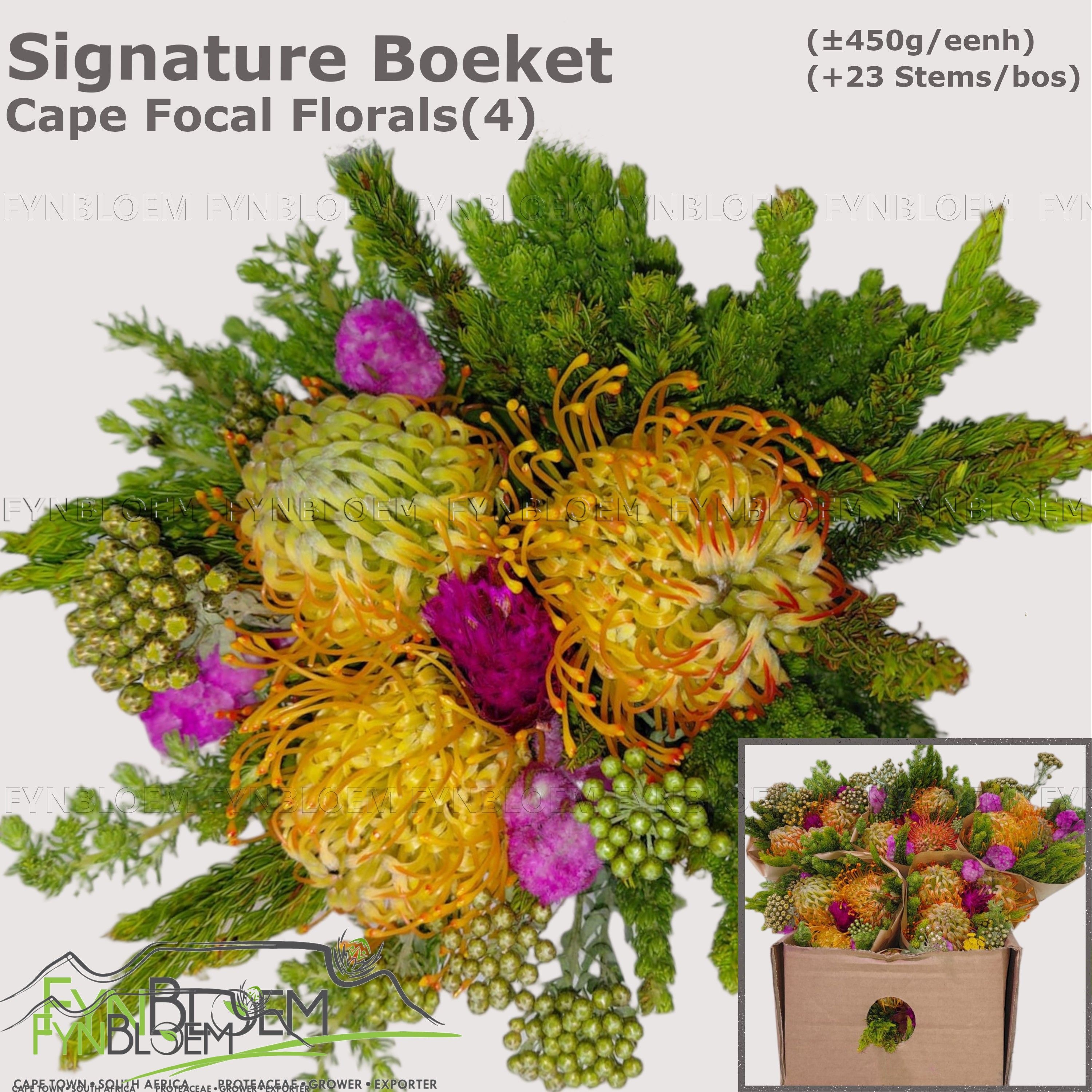 Protea Bouquet Per Bunch 30cm