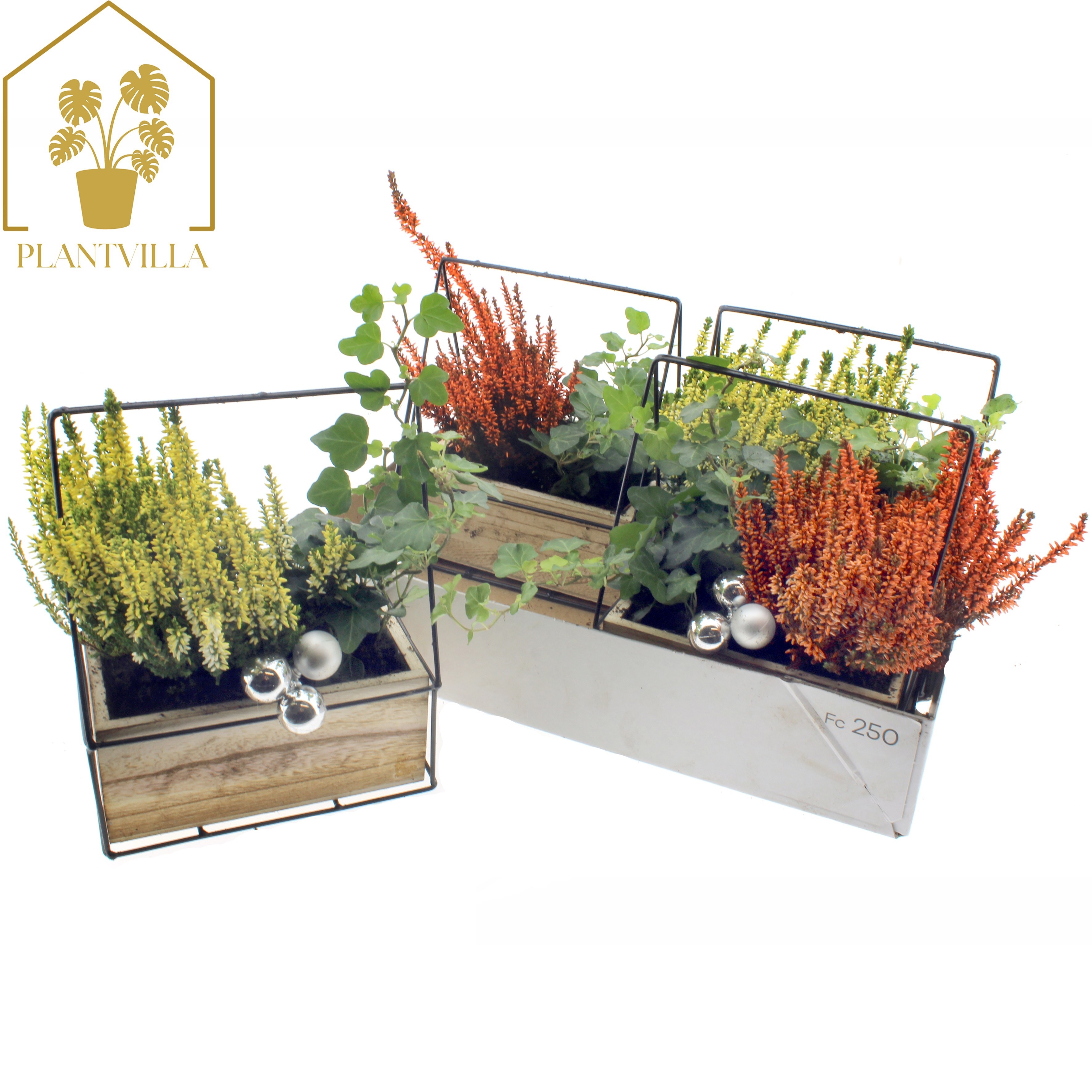 Arr Tuinplanten 18P 30cm 23bloei