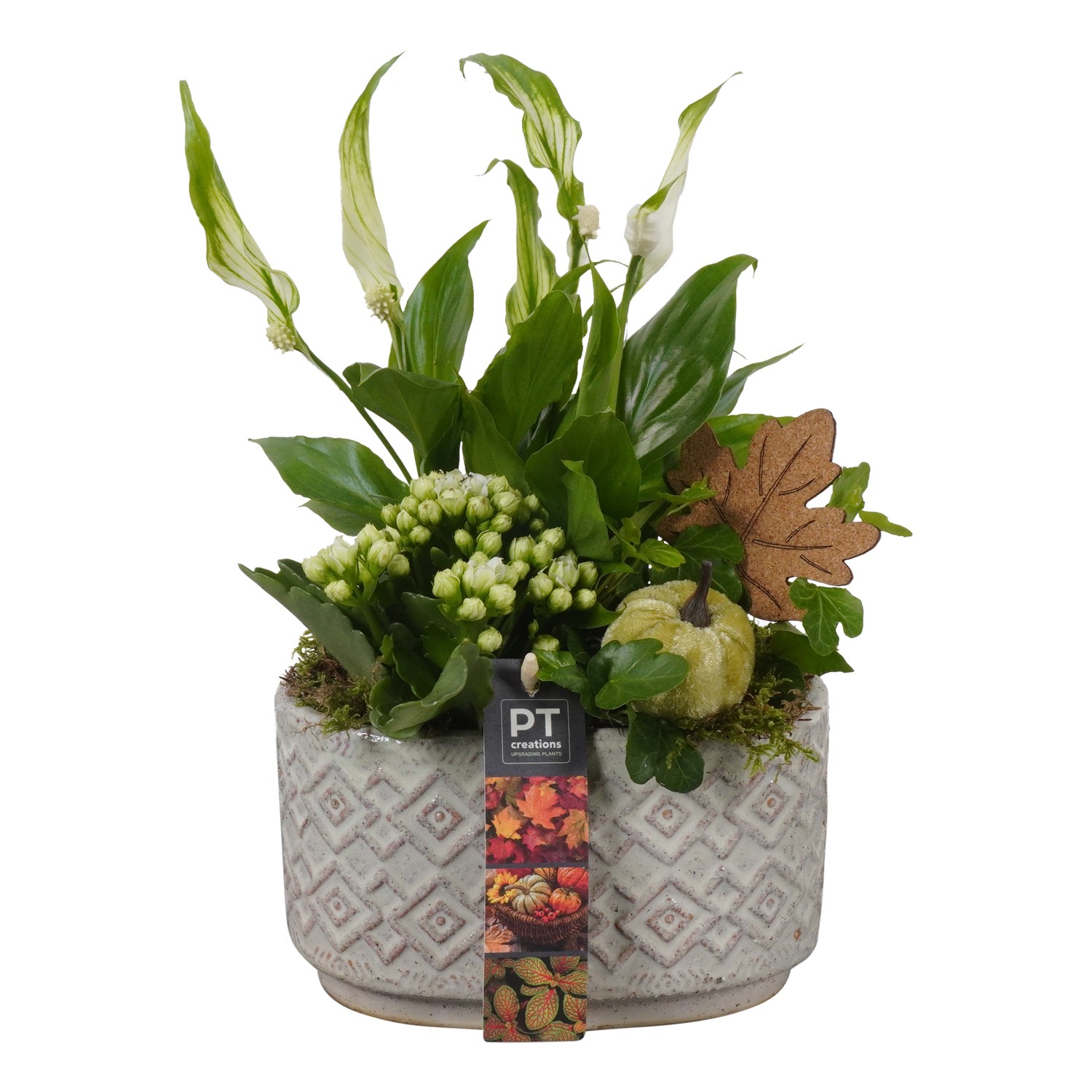 Picture of Arrangement Autumn Indoor in ceramic pot PTHI7145 P17 30CM