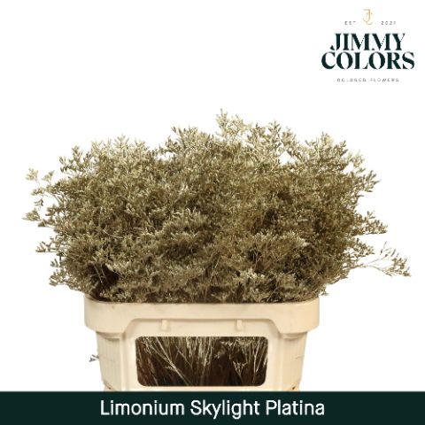 Lim Skylight L80 Mtlc. Platina