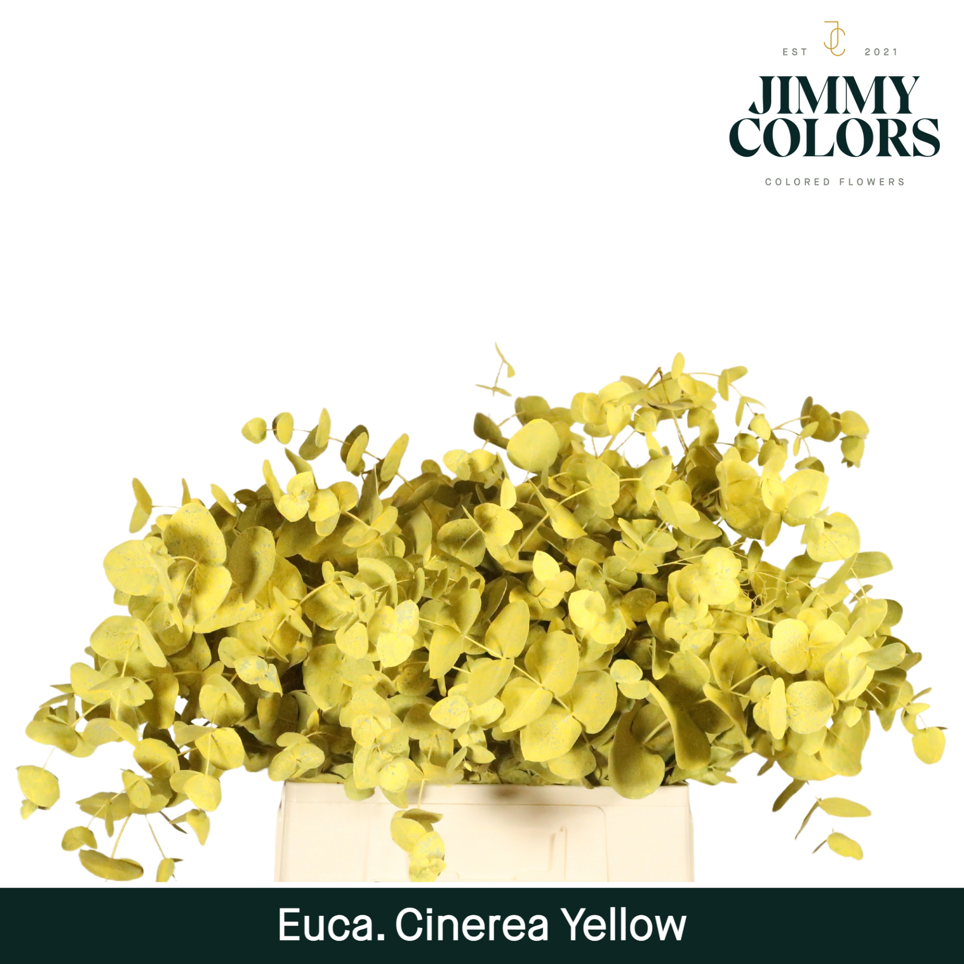 Cinerea Per Bos 200g Yellow
