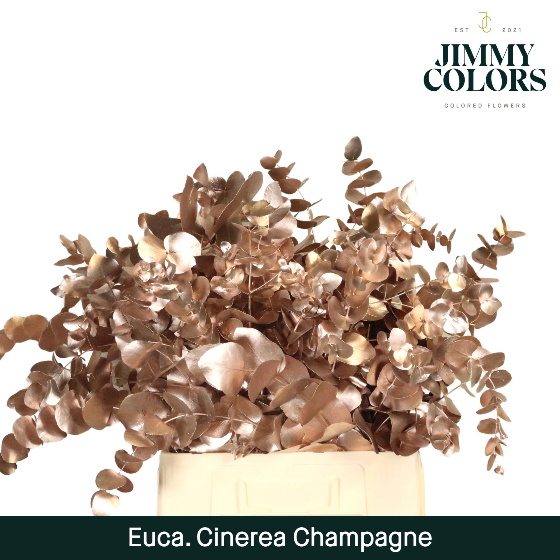 Cinerea Per Bos 200g Champagne