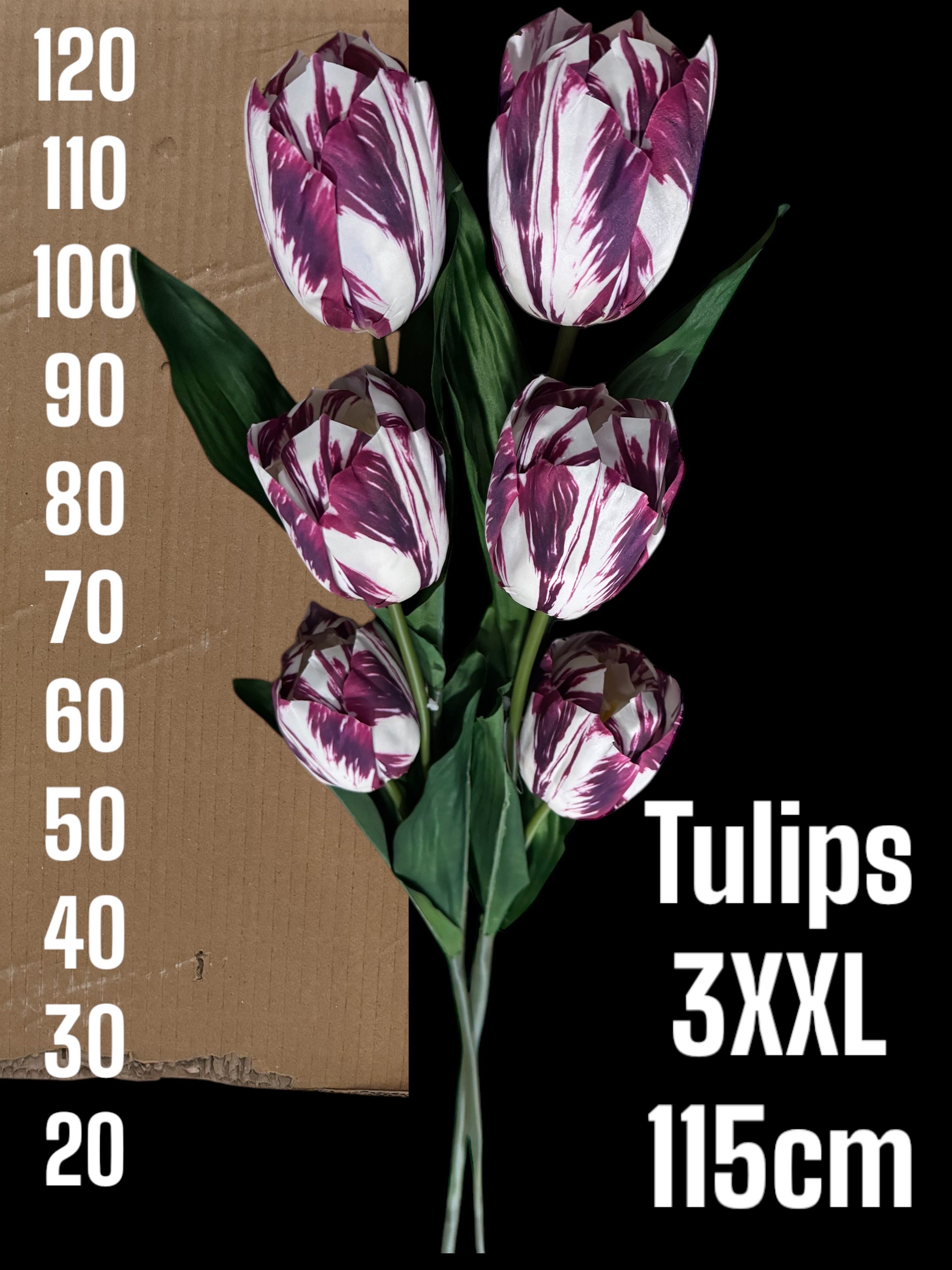 Huis en tuindecoratie overig H% - Huis en Tuindecoratie