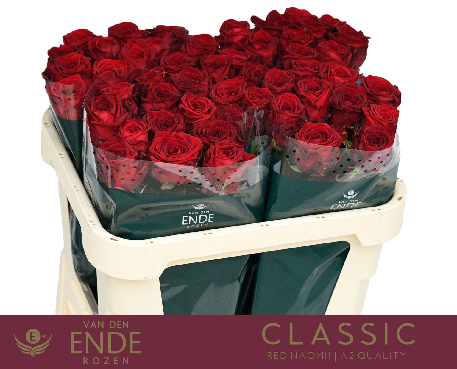 Rosa Red Naomi 70cm