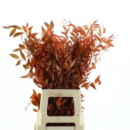 Decoration Greens Painted 70cm 120gram