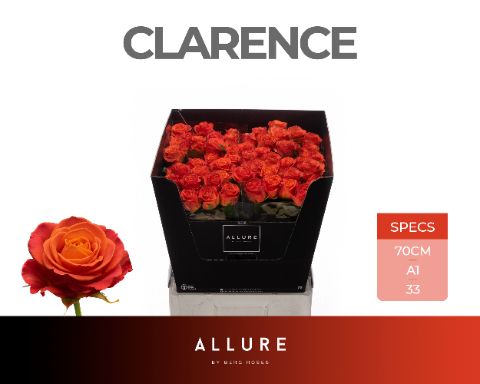 R Gr Clarence+