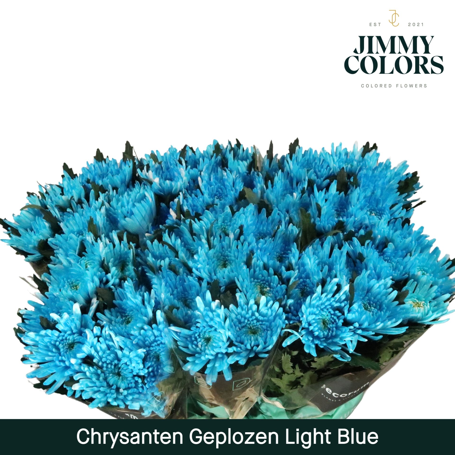 Chr G Topspin Light Blue