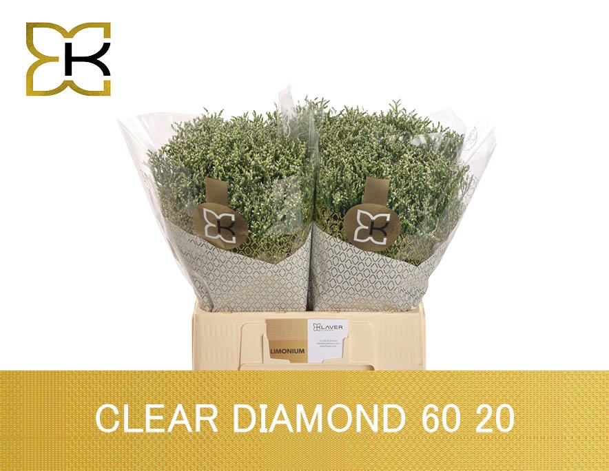 Lim Sin Clear Diamon
