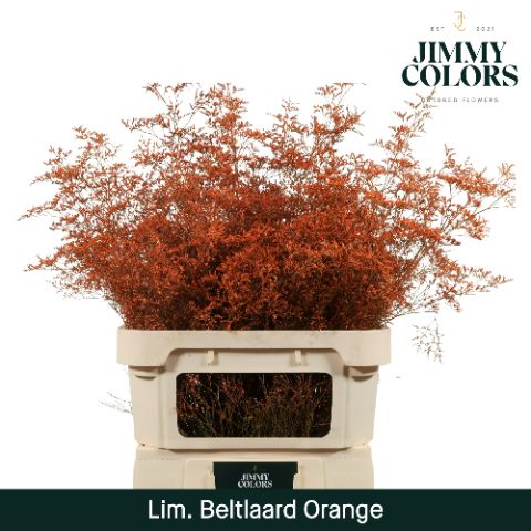 Lim Bel L90 Orange