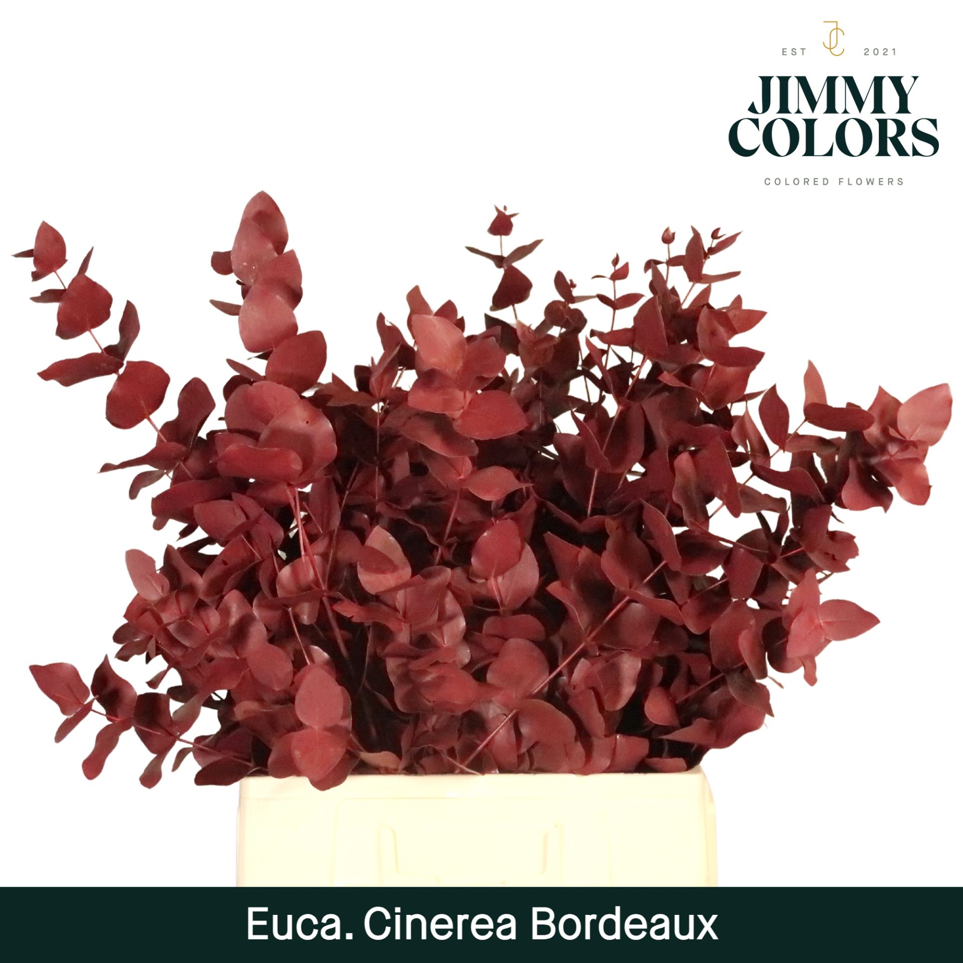 Cinerea Per Bos 200g Bordeaux