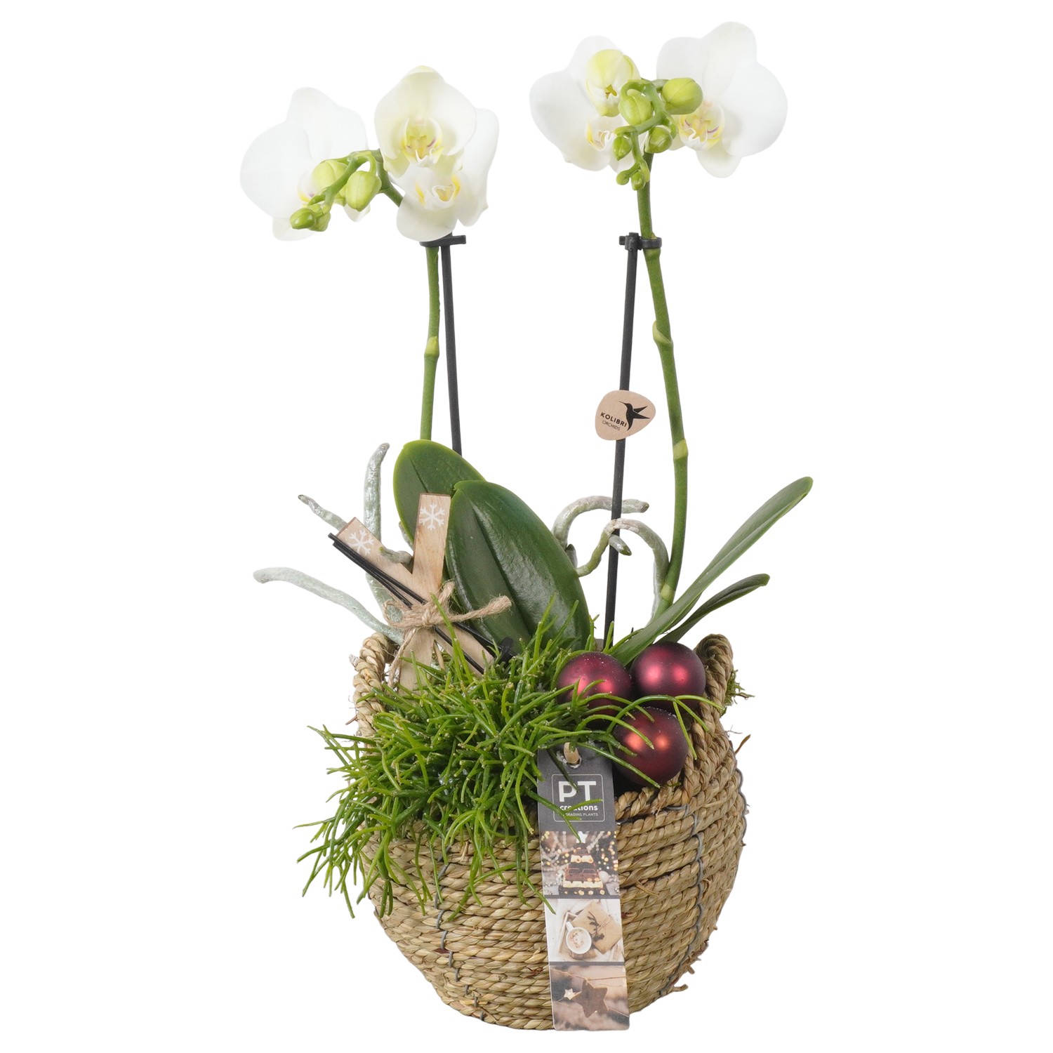 Picture of PTKB9345 Arrangement X-Mas in grass basket P15 40CM