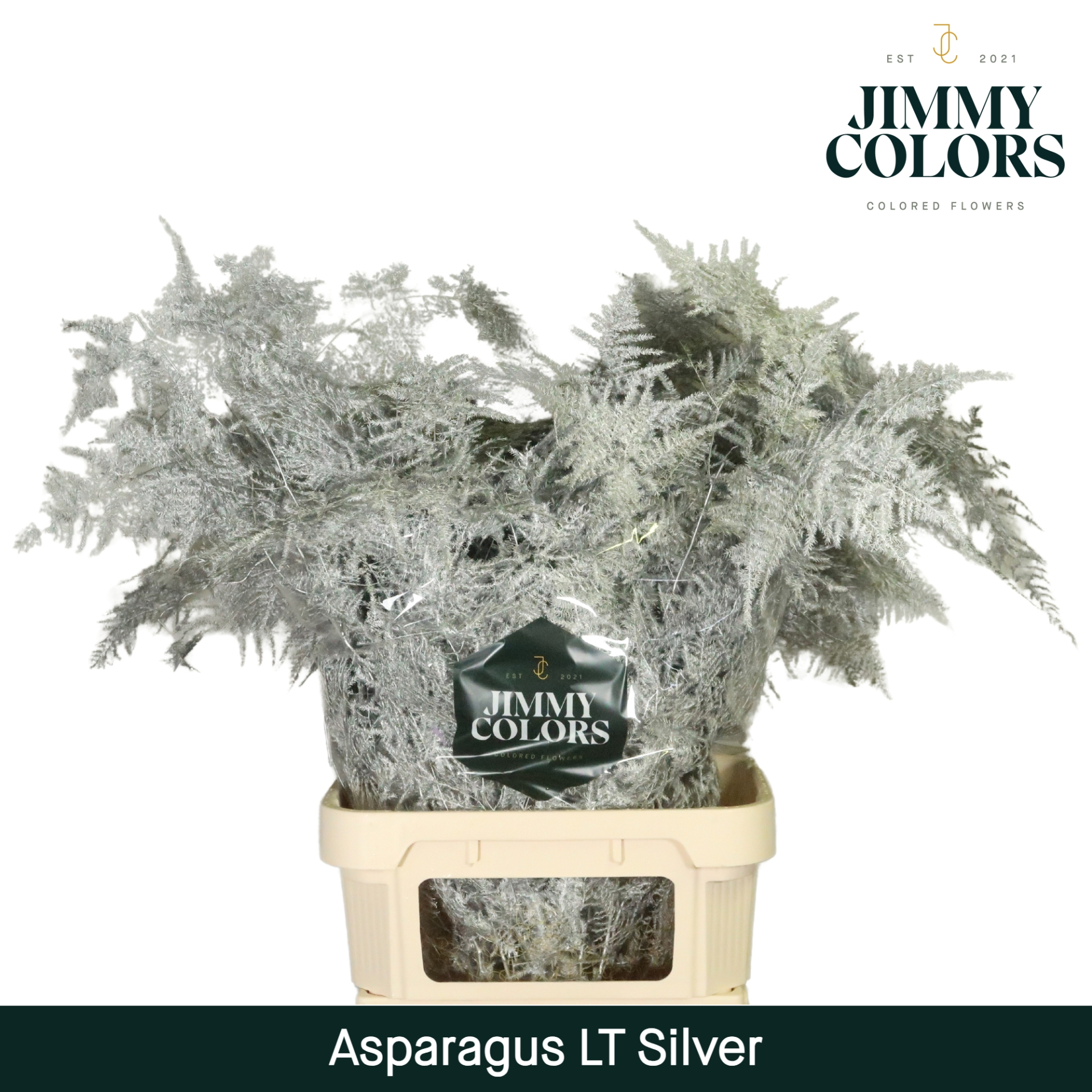 Aspa Lang Getopt Silver + Glitter