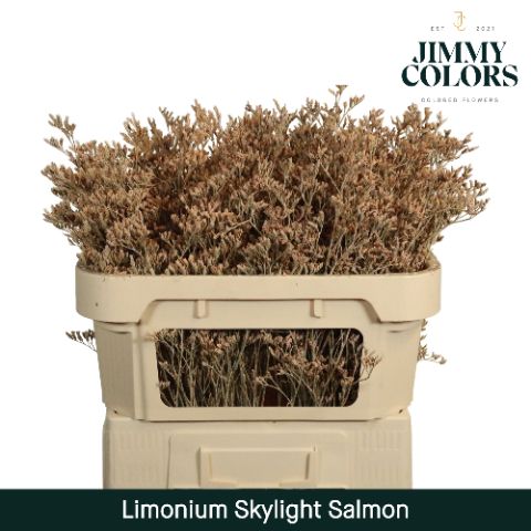 Lim Skylight L70 Salmon