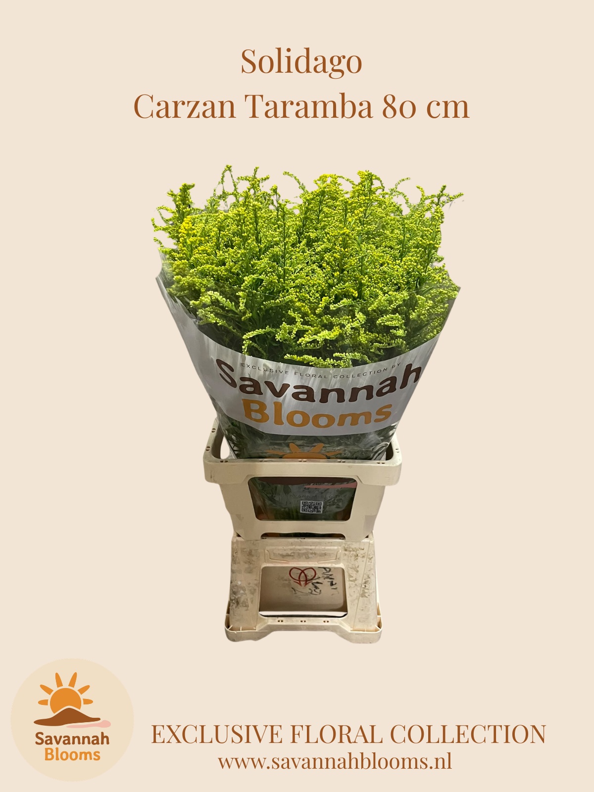 Soli Carzan Taramba 80L.cm 35gram 23bloei