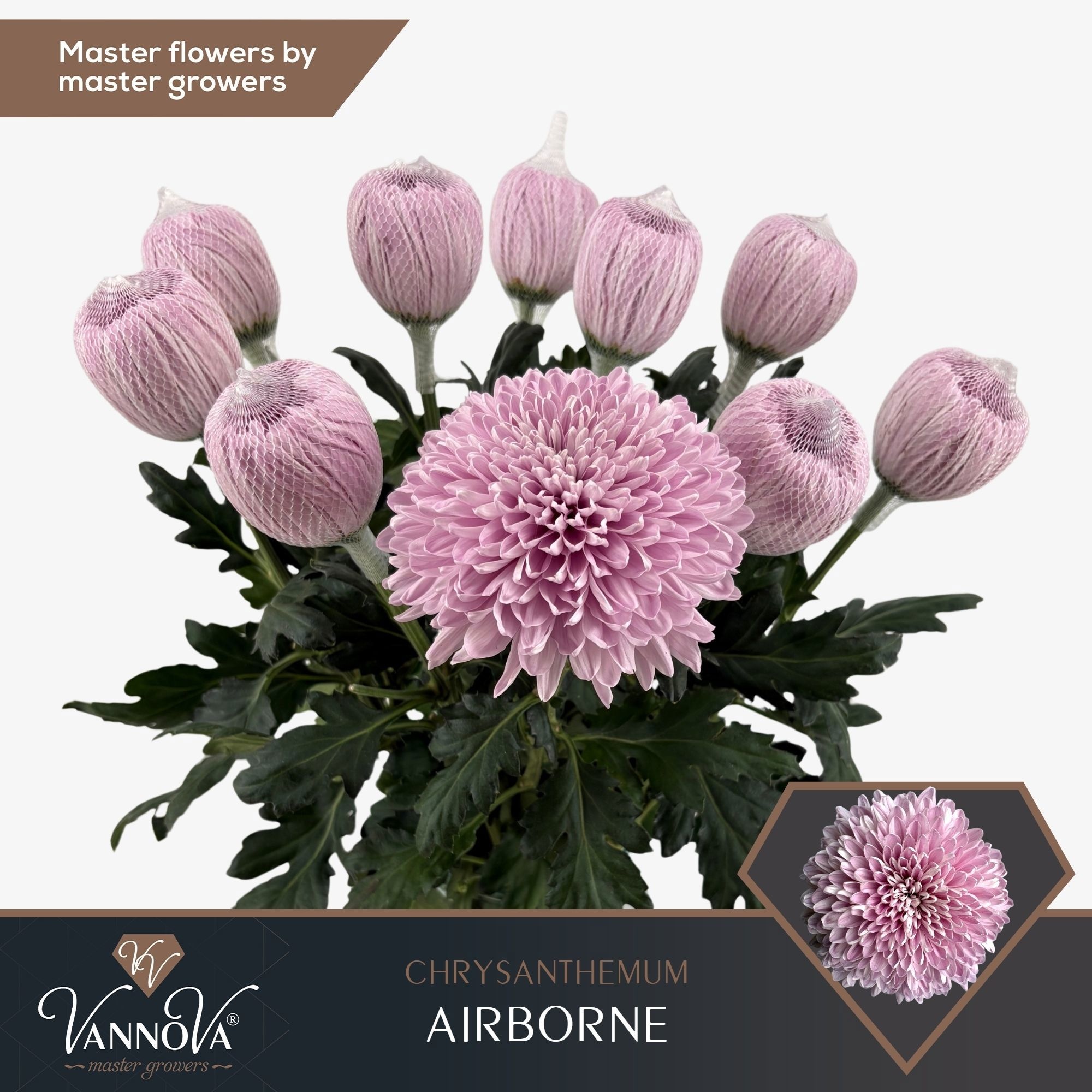 Chr G Airborne 70cm 105gram