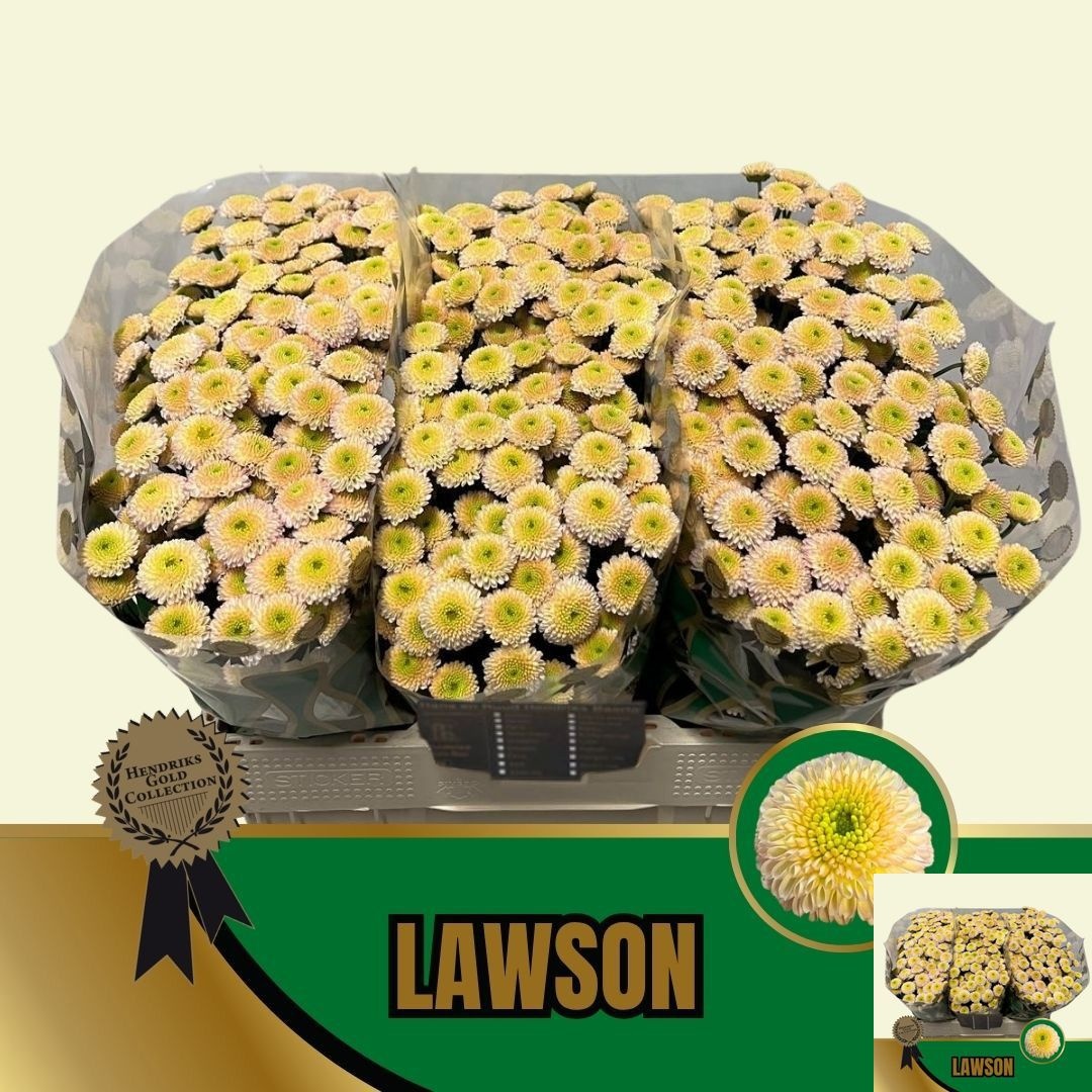 Chr S Lawson