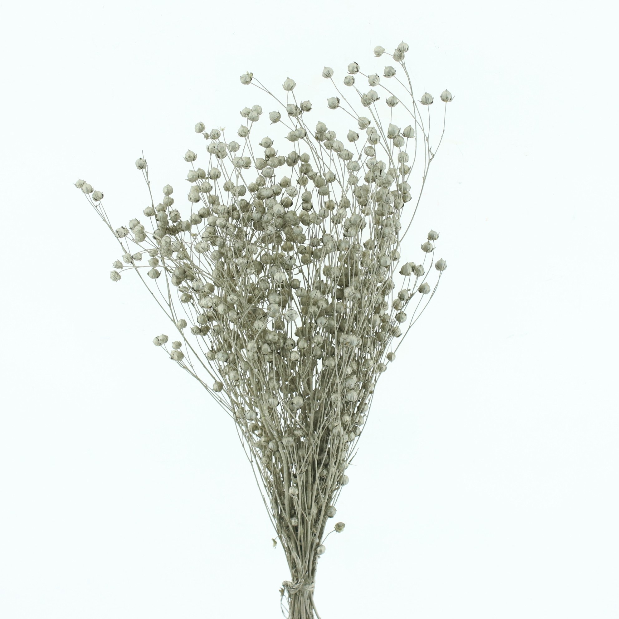 Dried Miscellaneous 50cm