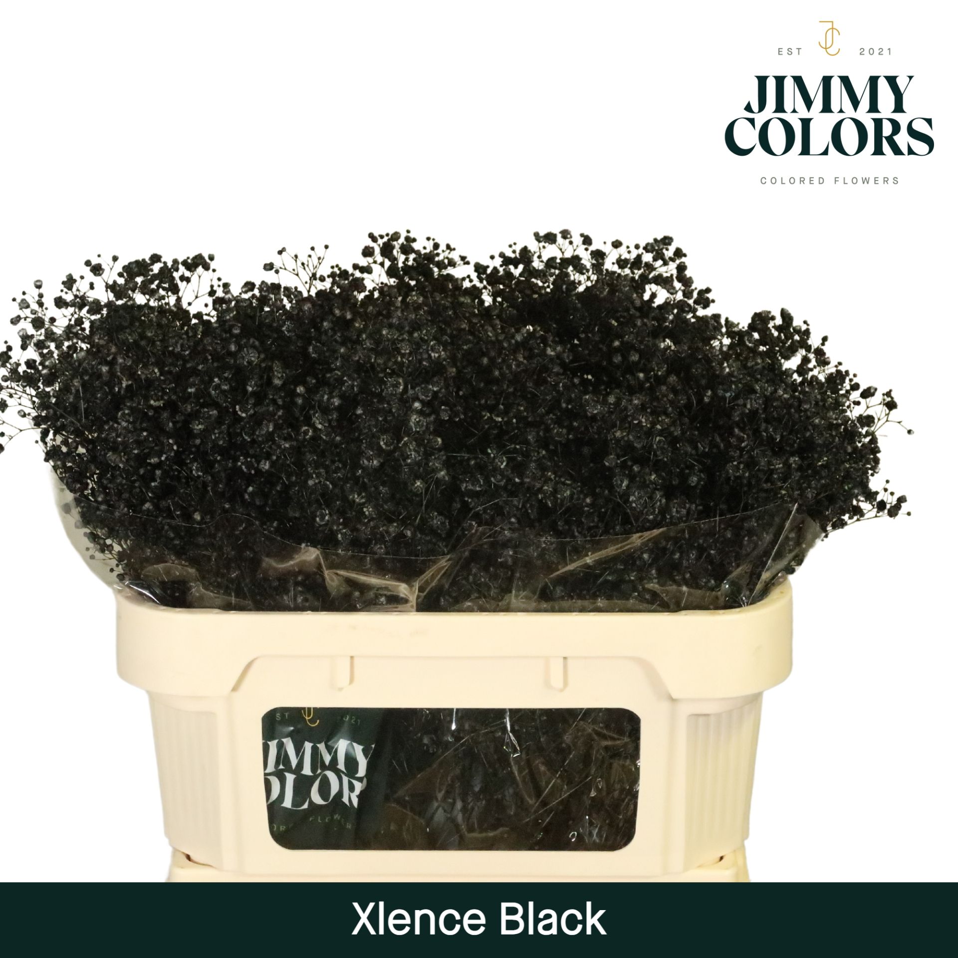 Gyps Xlence L70 Black
