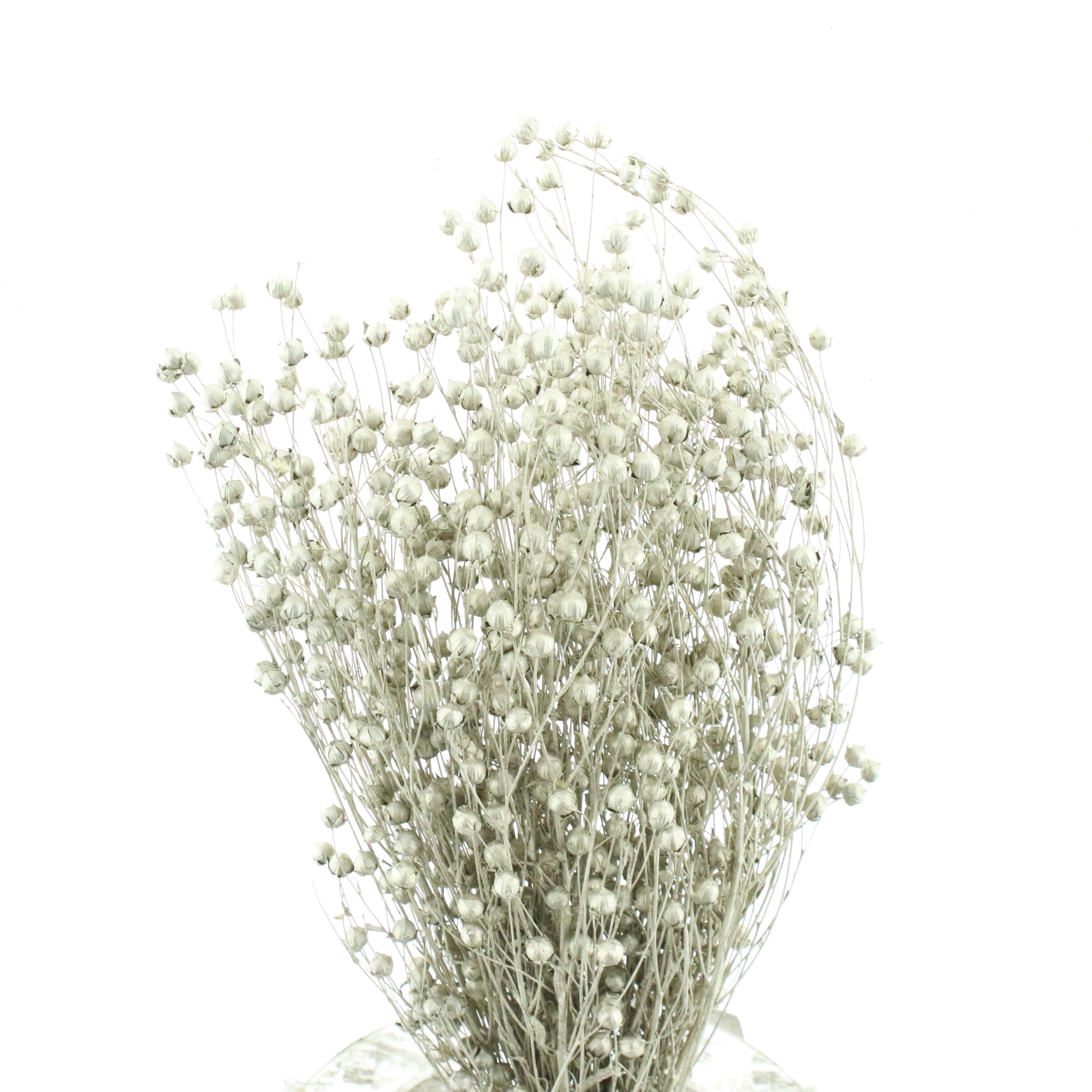 Dried Miscellaneous 50cm