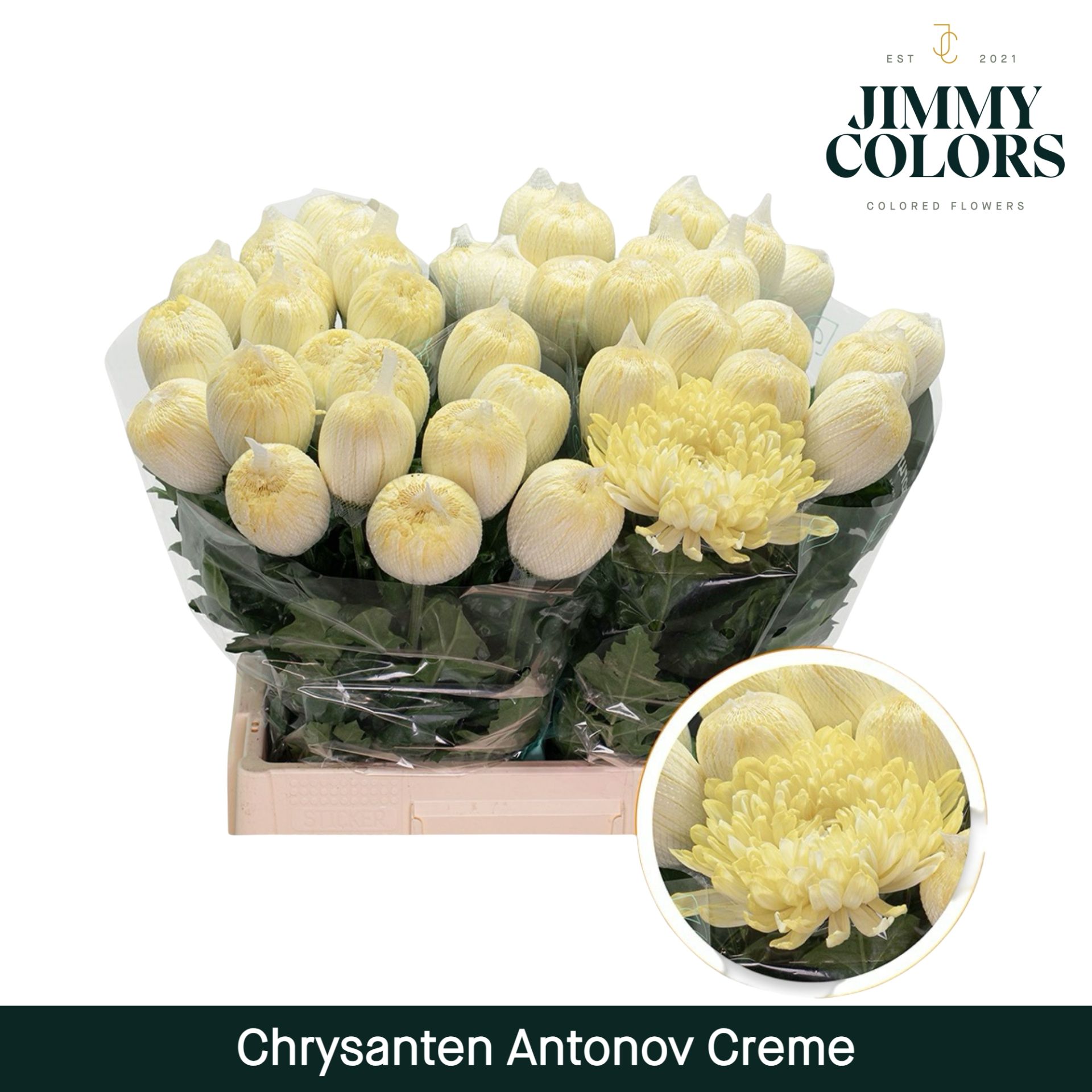 Chr G Antonov Creme