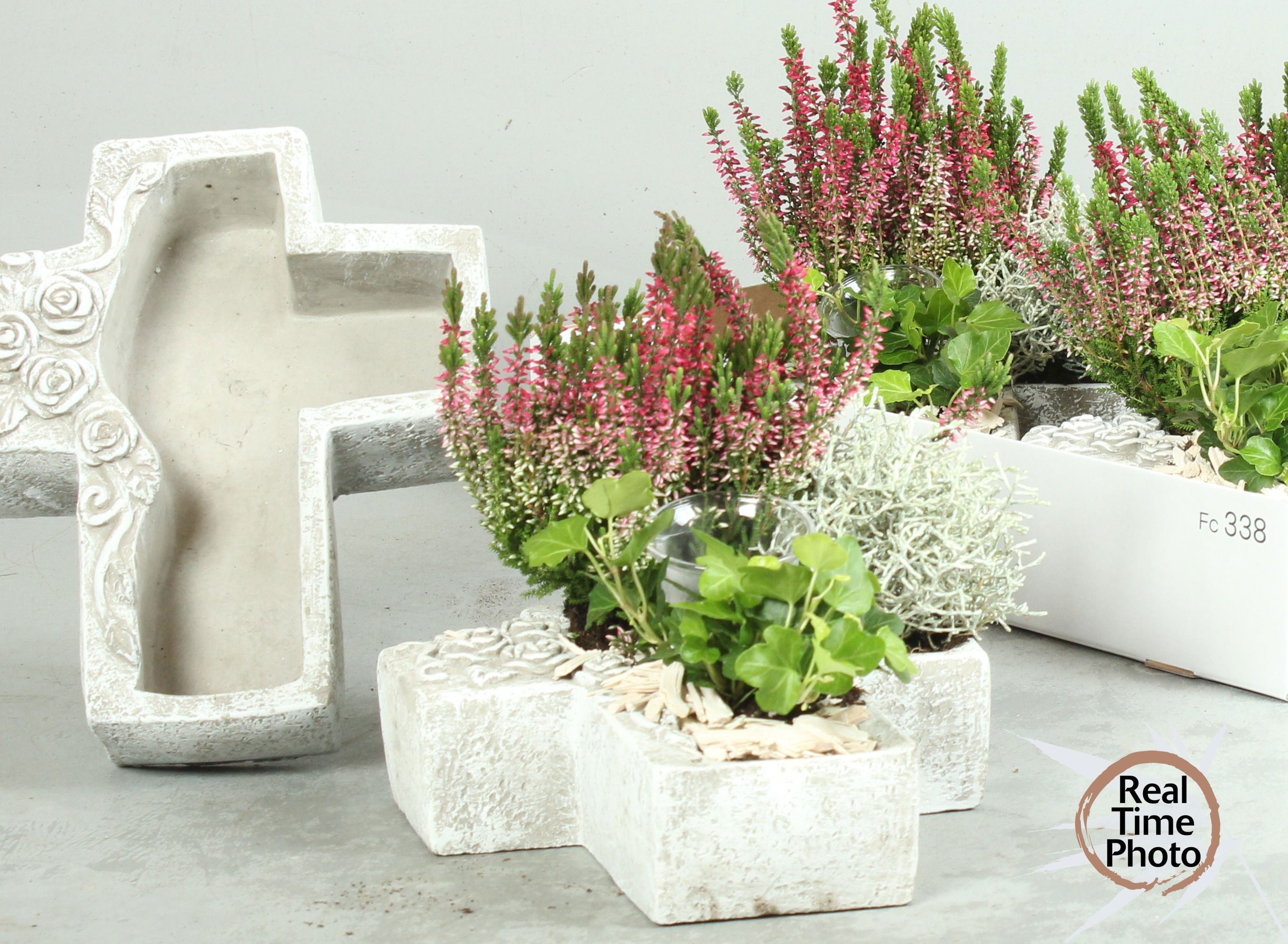 Arr Tuinplanten 25P 30cm