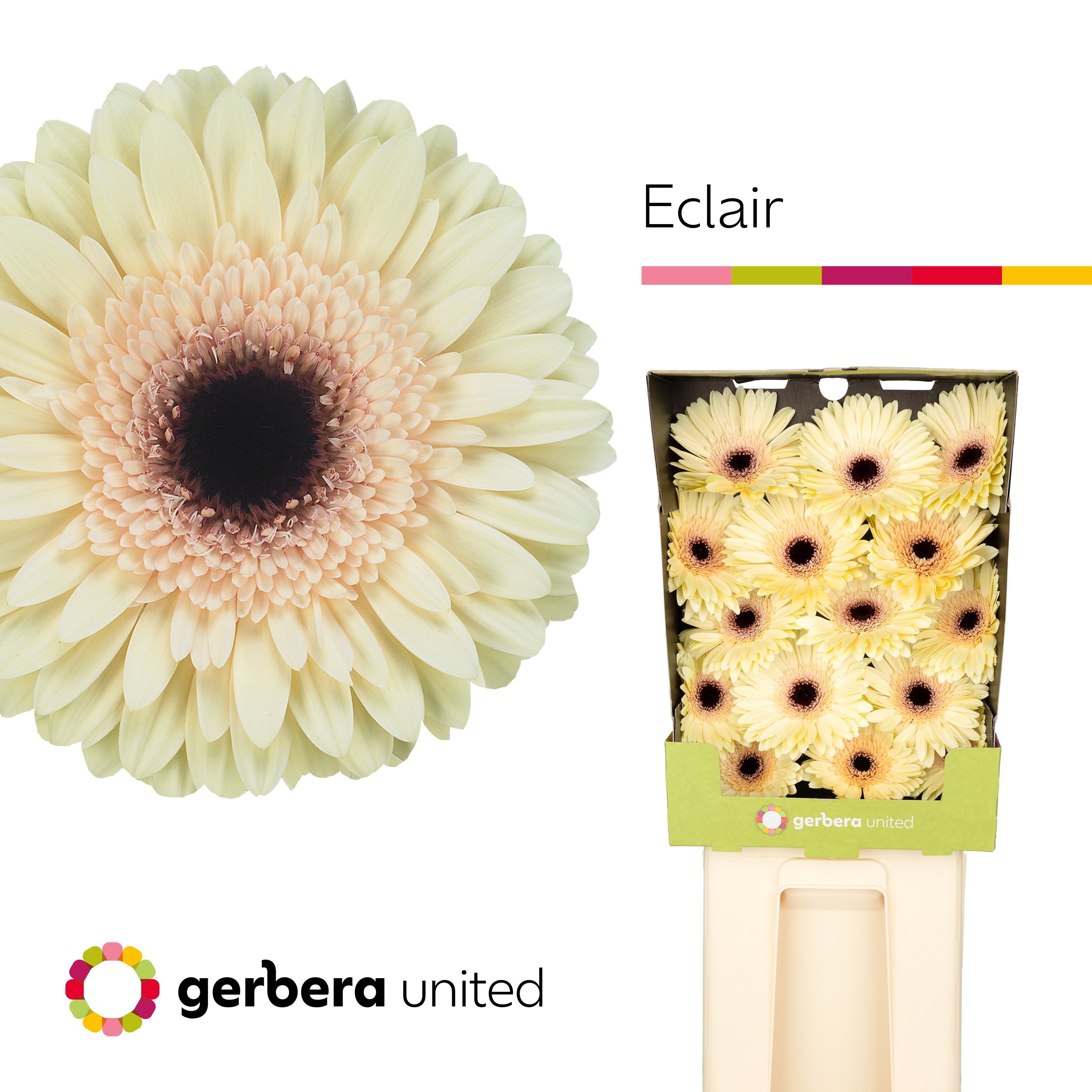 Ge Gr Eclair