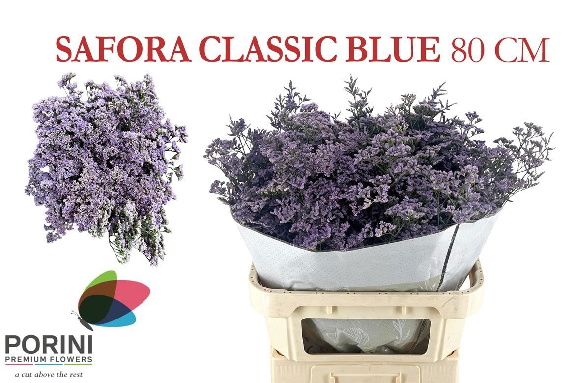 Lim Saf Classic Blue