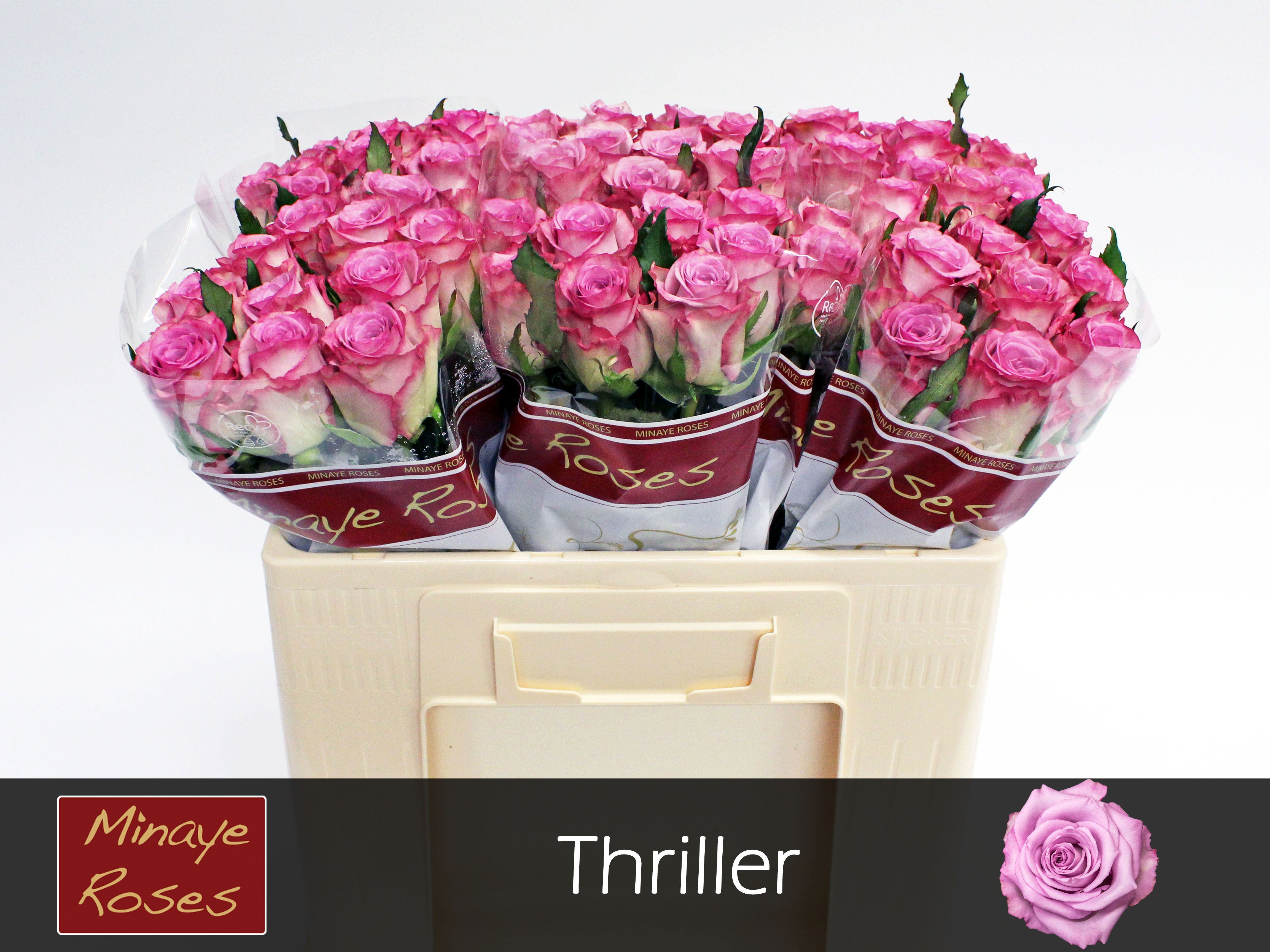 R Gr Thriller