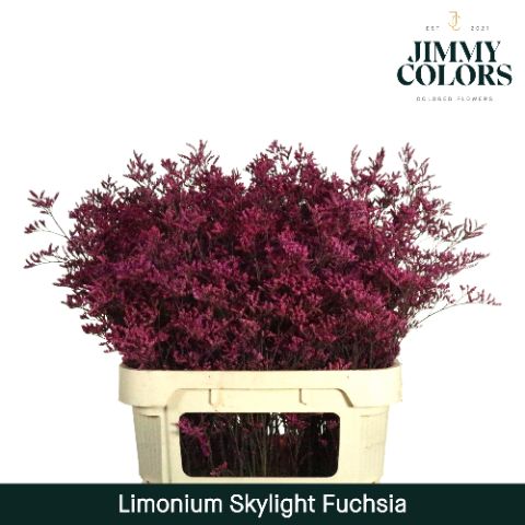 Lim Skylight L80 Fuchsia