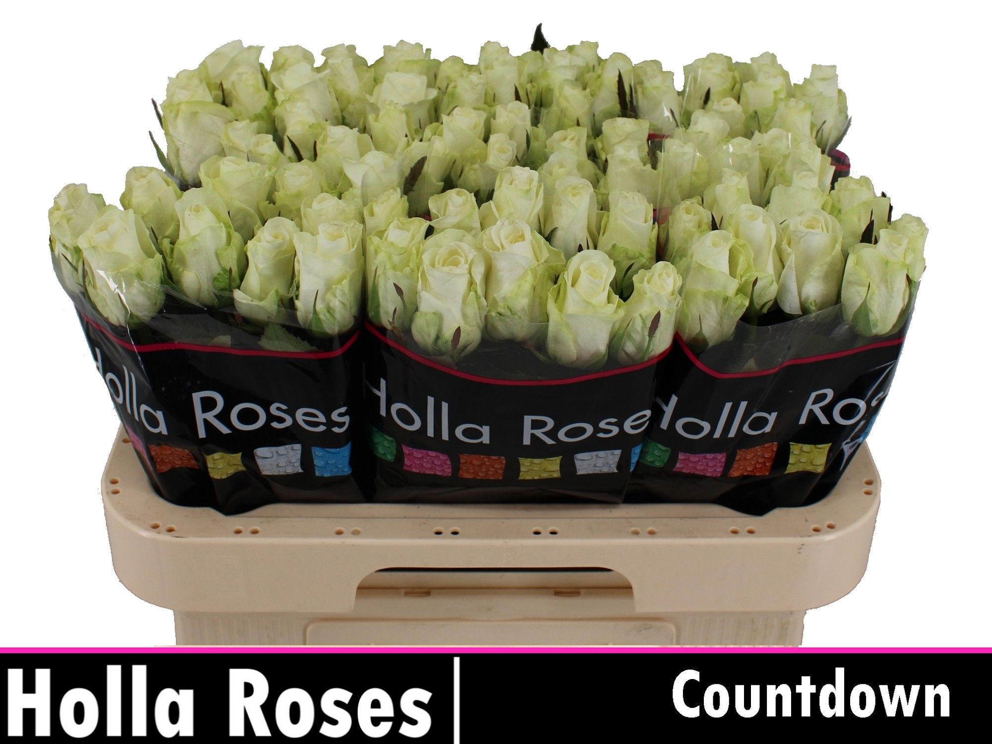 R Gr Countdown!