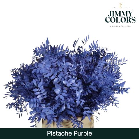 Pistache L50 Purple