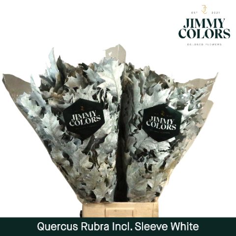 Quercus Rubra Sleeve L80 White