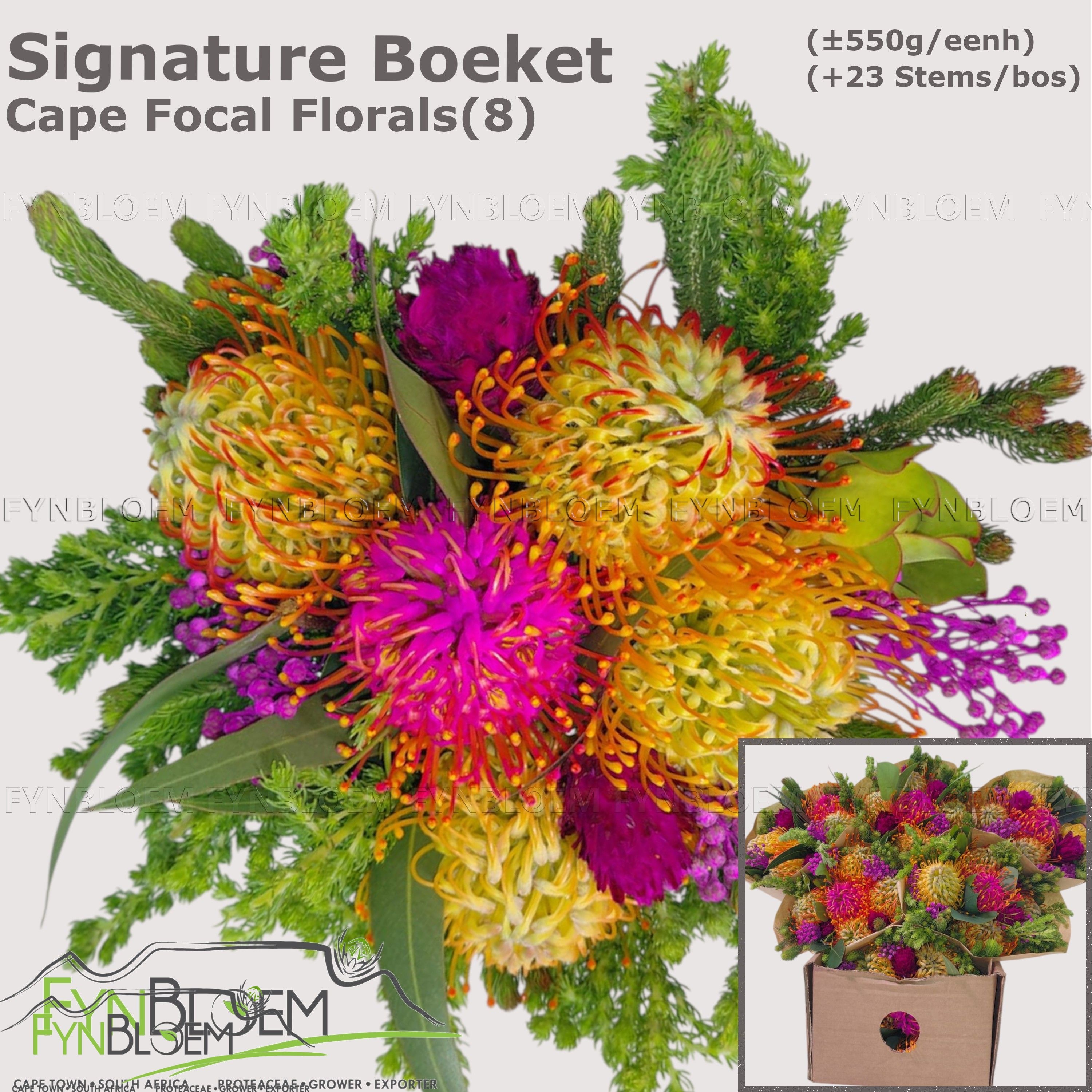 Protea Bouquet Per Bunch 40cm