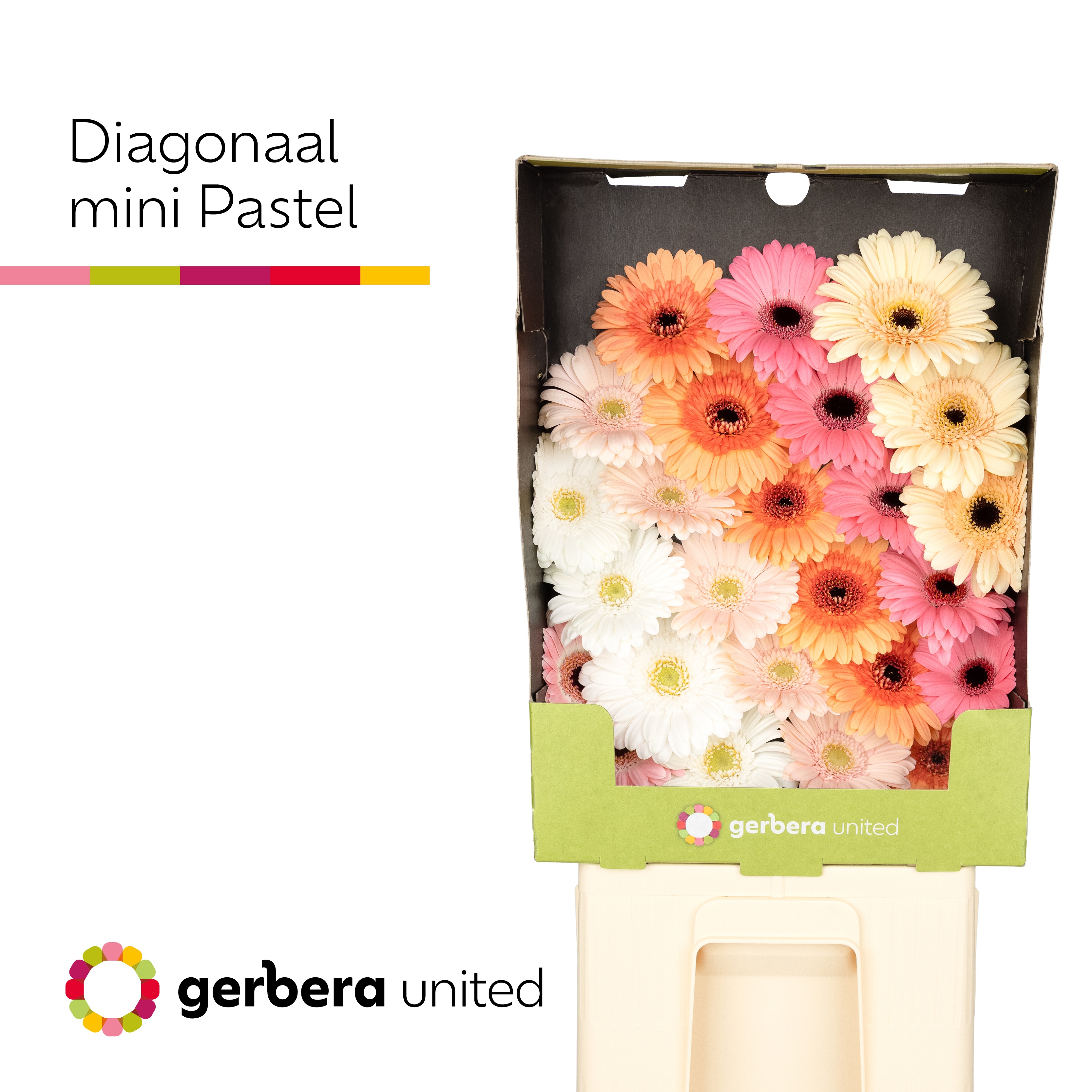 Ge Mi Diagonaal Gem