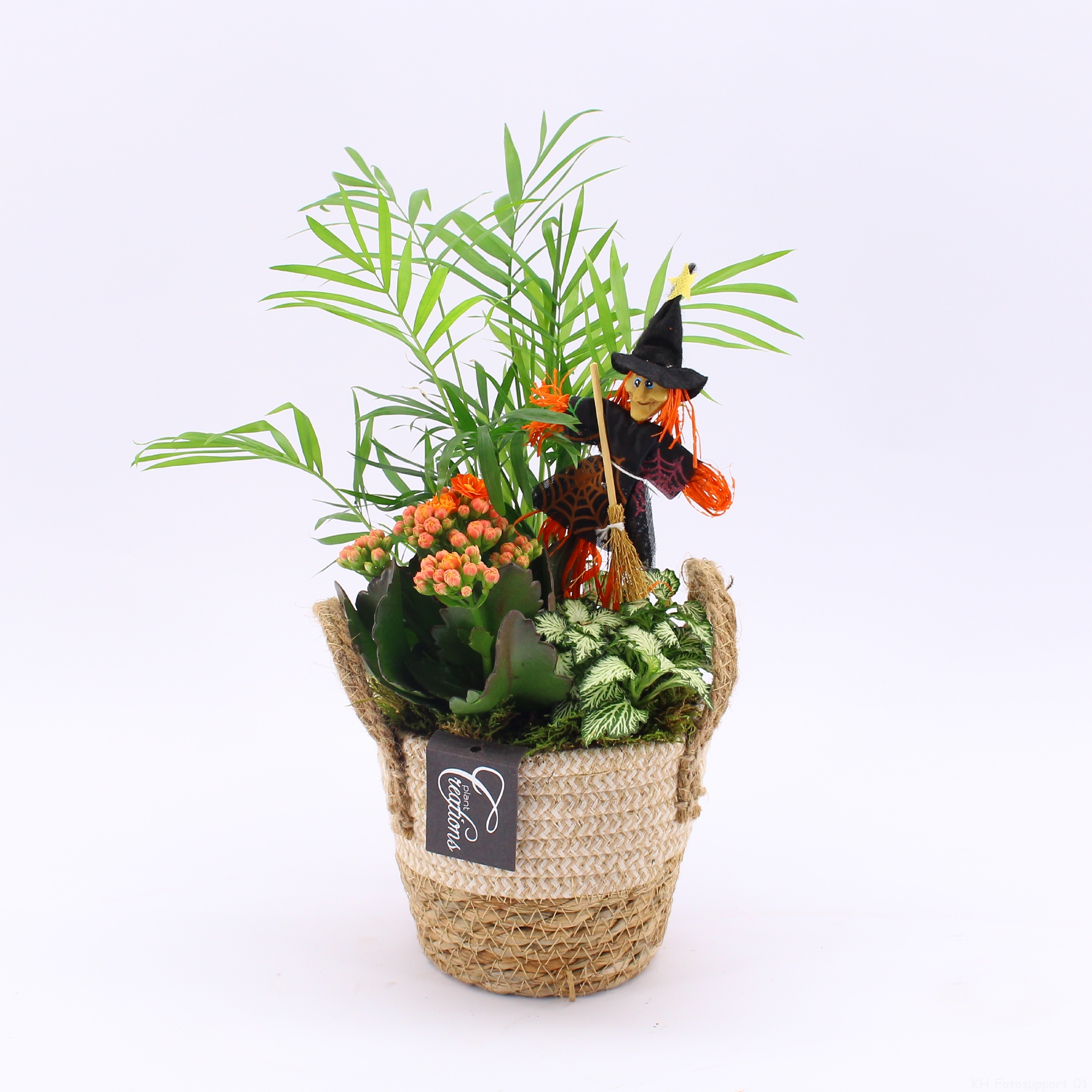 Picture of HWCR-2407 Halloween arrangement P14 35CM