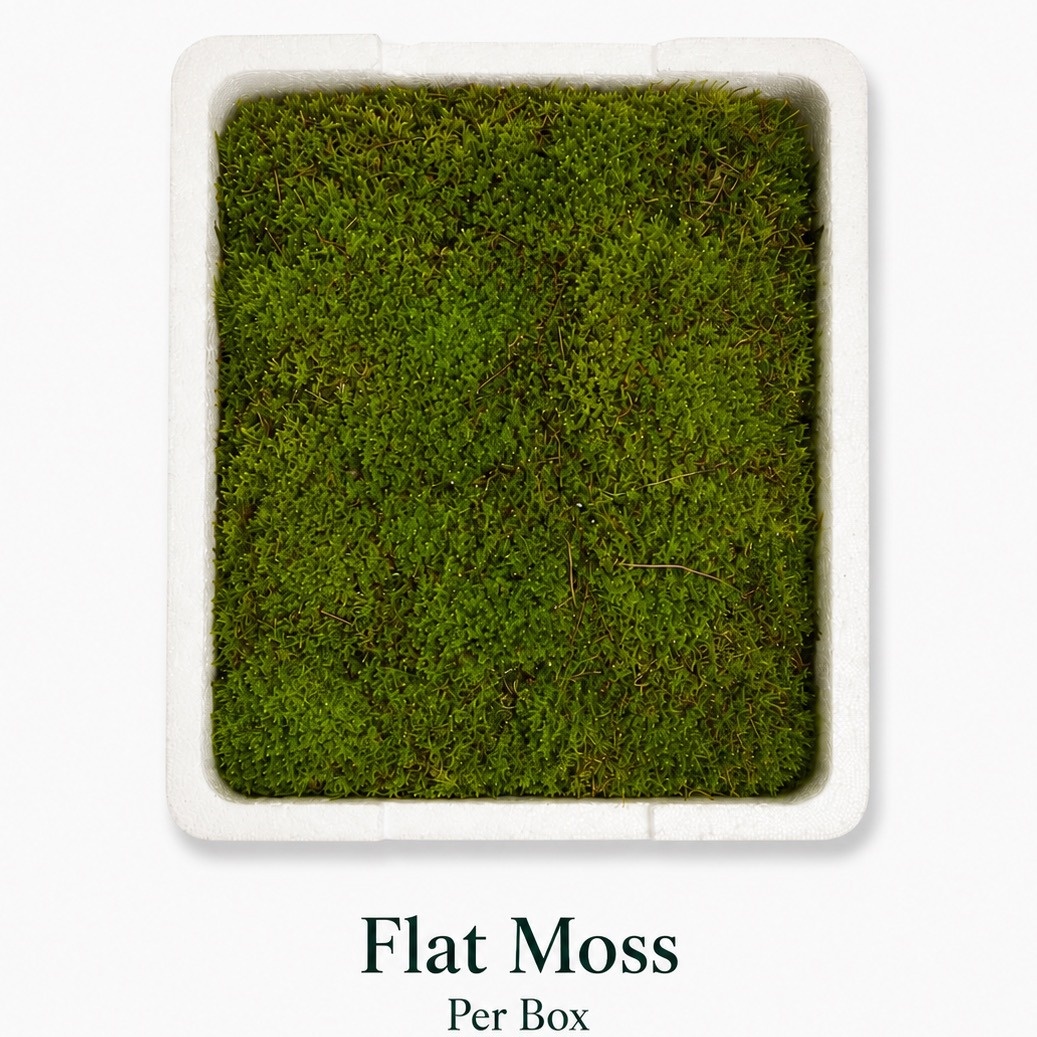 Mossen Ov