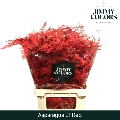 Aspa Lang Getopt Red
