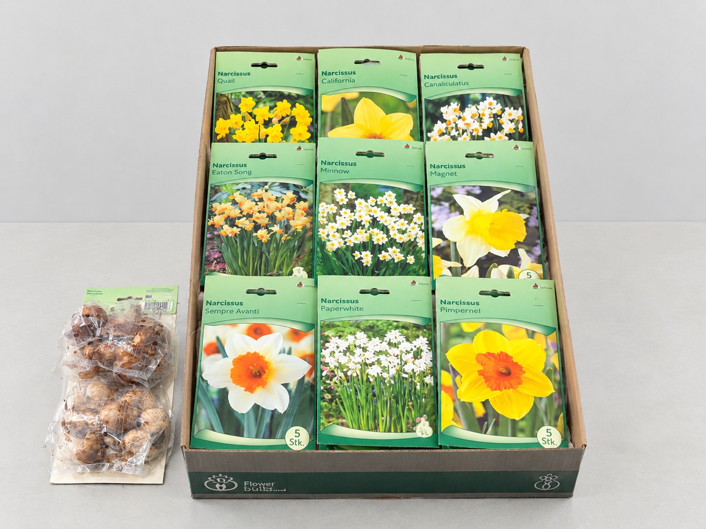 Bloembol Narcis