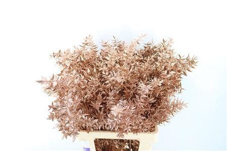 Dried/preserved Flowers Misc 60cm 18gram
