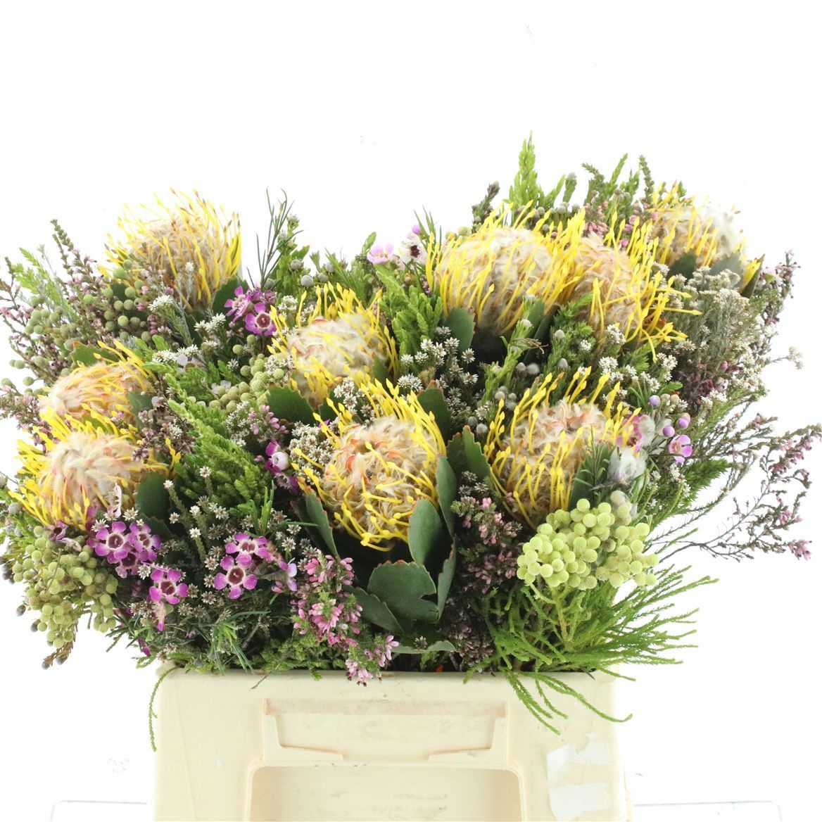 Protea Bouquet Per Bunch 45cm