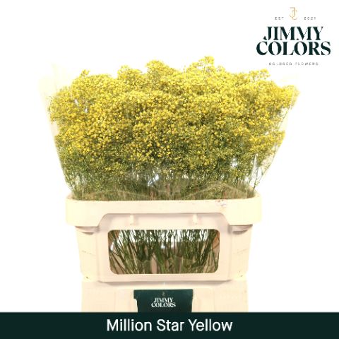 Gyps Million Star L80 Yellow