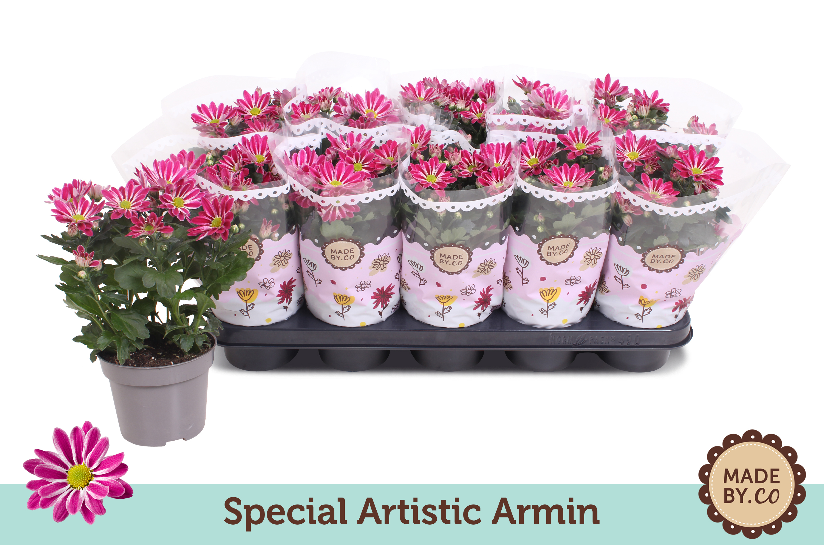 Picture of Chrysant special artistic armin P12 25CM