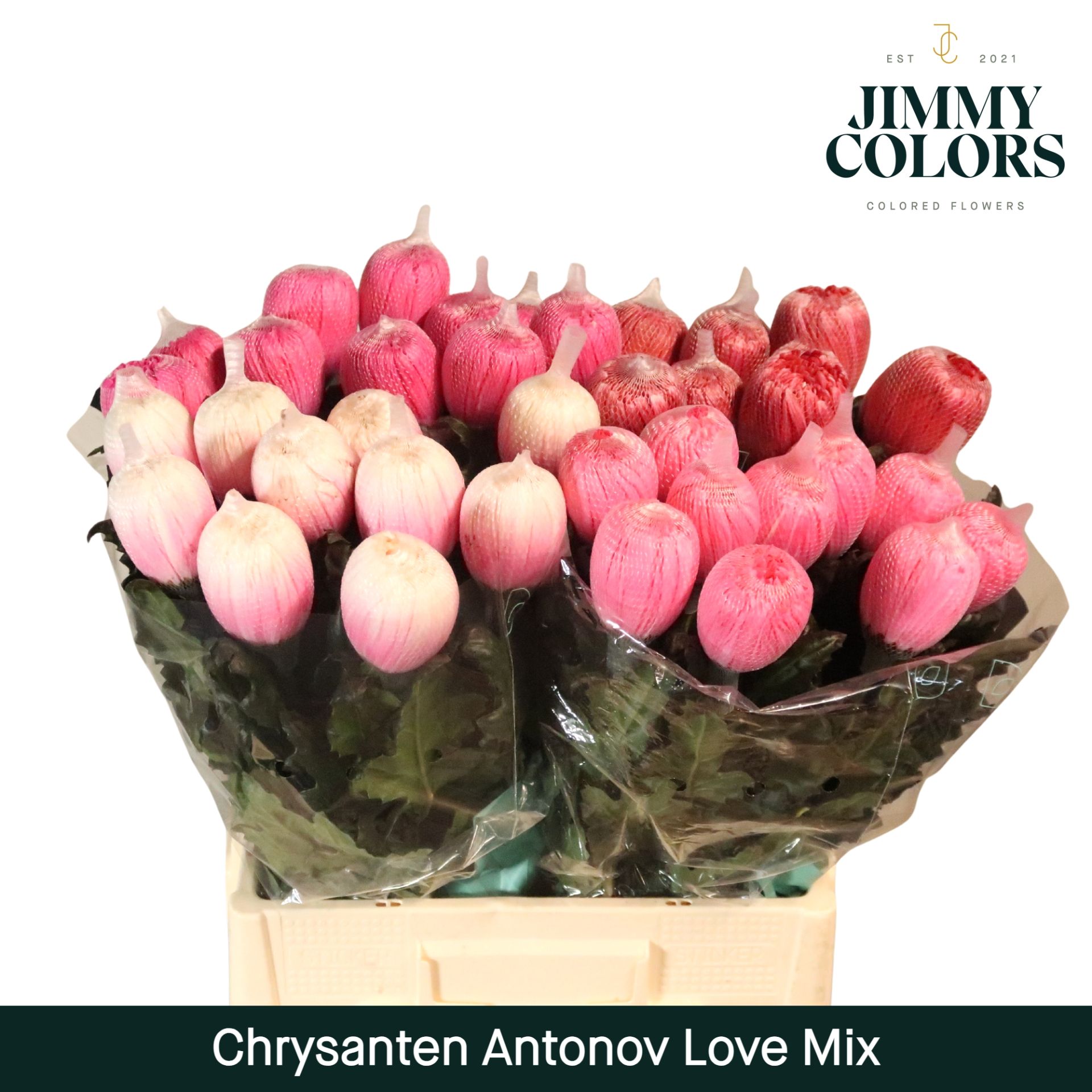 Chr G Antonov Love Mix