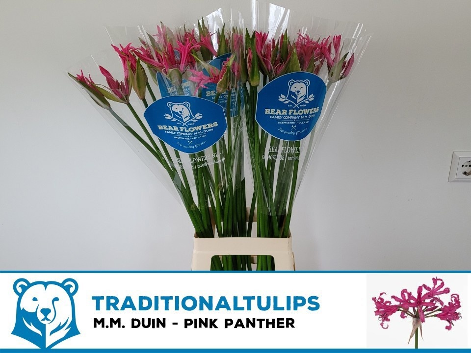 Ne Bo Pink Panther 80cm