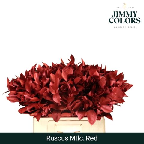 Ruscus L60 Mtlc. Red