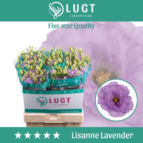 Eus G Lisanne Lavend