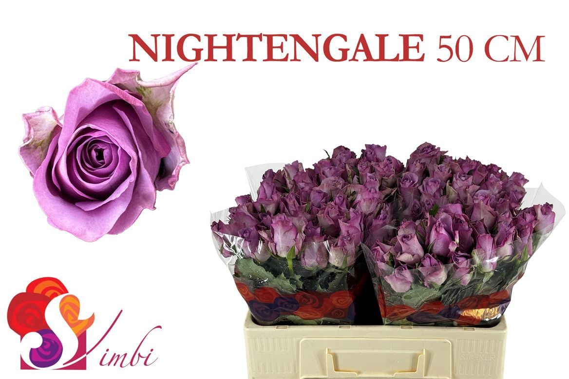 R Gr Nightingale!