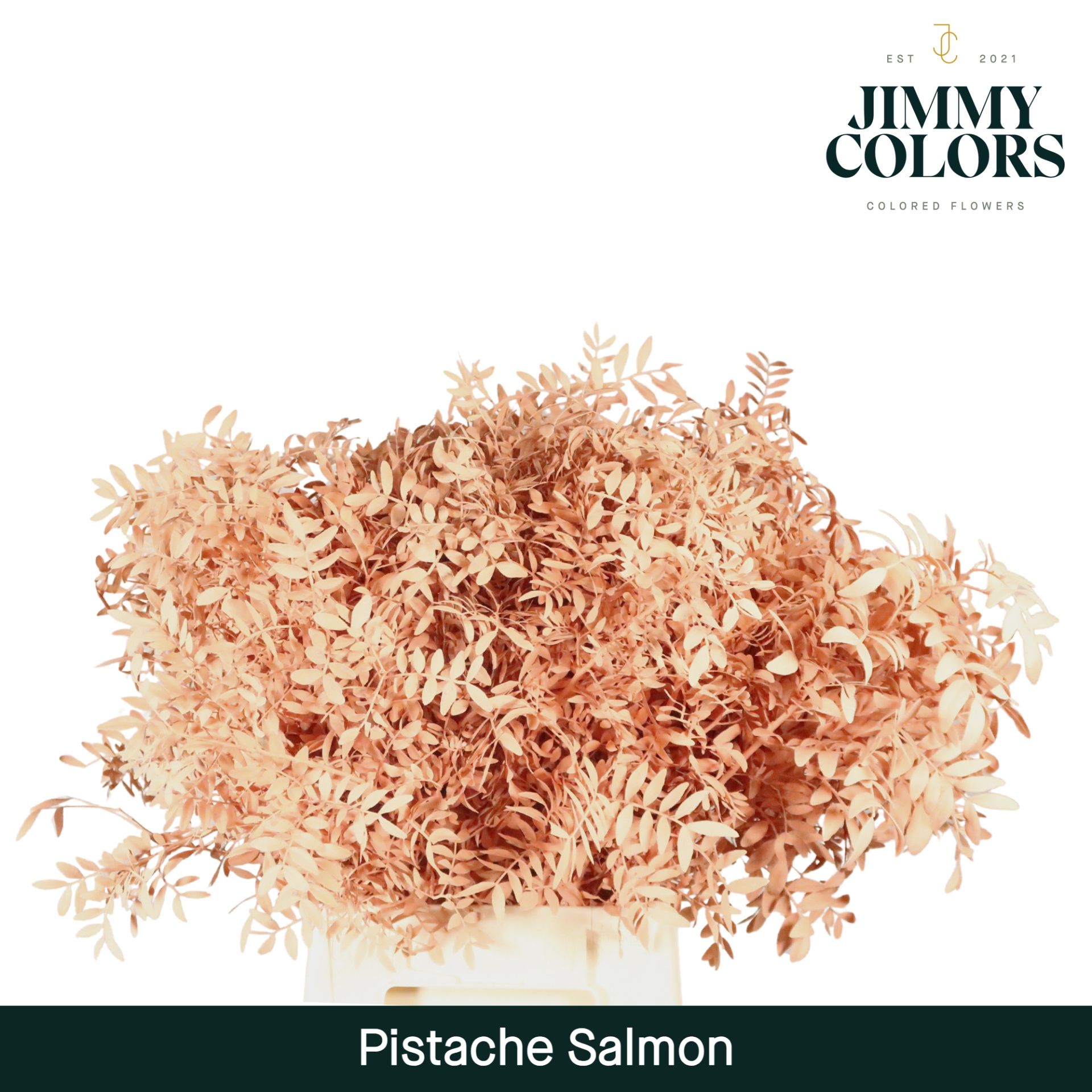 Pistache L50 Salmon