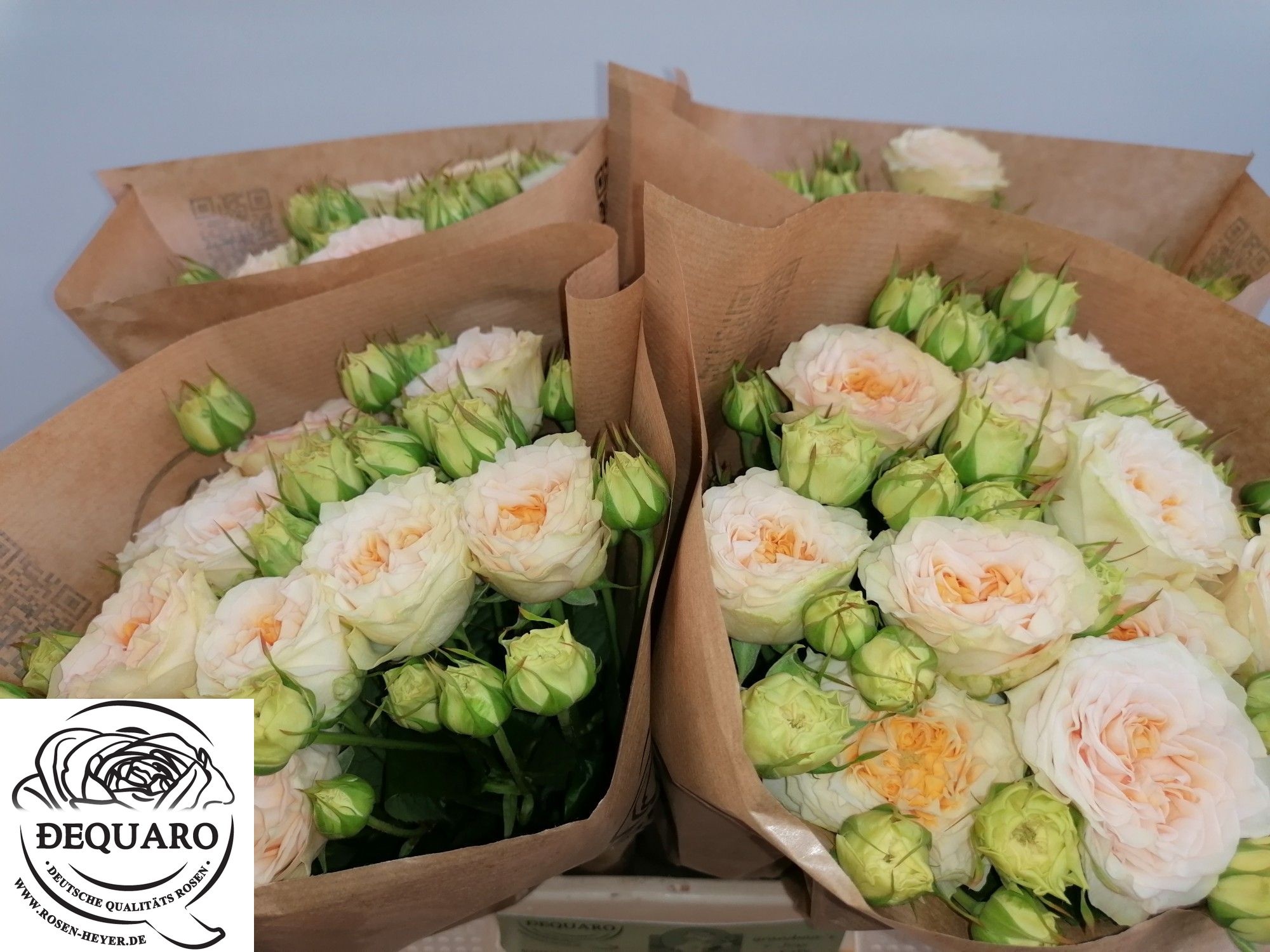 R Tr Grandma F Lilly 40cm